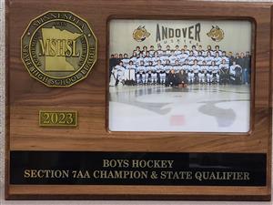 Boys Hockey Section 7AA Champion and State Qualifier 2023